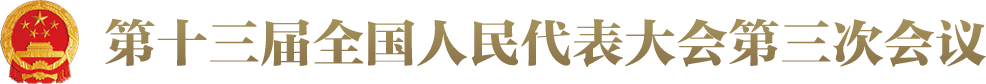 第十三届全国人民代表大会第三次会议