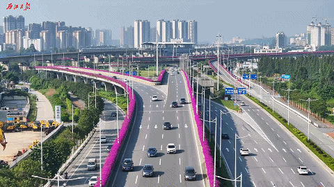 肇庆“空中花廊”惊艳亮相!位置就在→ 肇庆“空中花廊”惊艳亮相!位置就在→