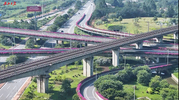 肇庆“空中花廊”惊艳亮相!位置就在→ 肇庆“空中花廊”惊艳亮相!位置就在→