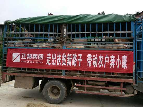 正邦集团“福猪工程”助百万农户脱贫致富