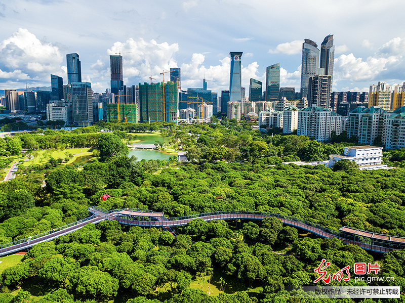 深圳香蜜公园