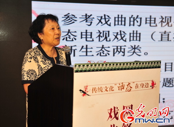 杨燕：戏曲的数字化生存及可持续发展思路