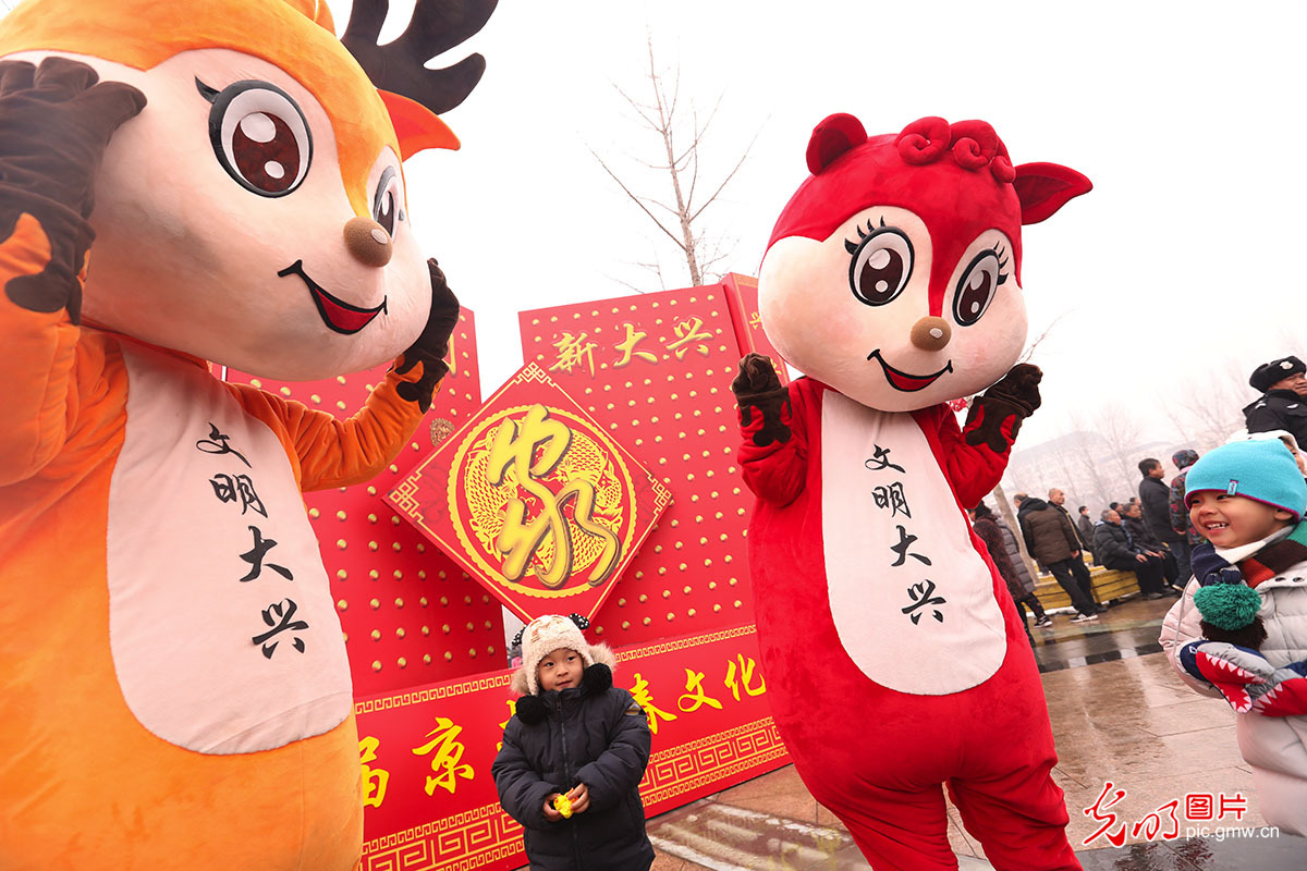 北京新机场回迁居民新家门前逛花会