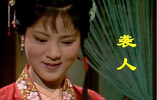《红楼梦》和陆游诗