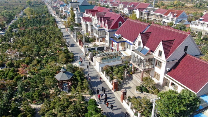 【乡村振兴在行动】谁说农业不赚钱,如皋小盆景带来大前景 1