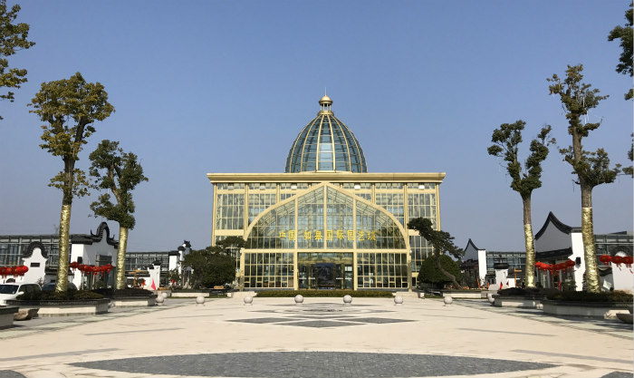 【乡村振兴在行动】谁说农业不赚钱,如皋小盆景带来大前景 1