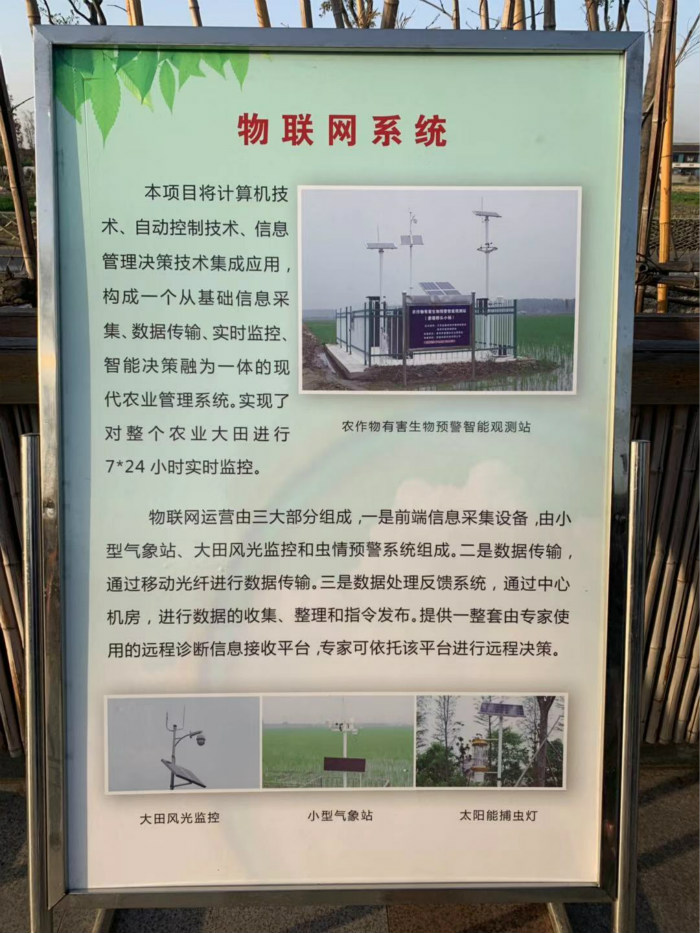 【乡村振兴在行动】农业插上“智慧”翅膀，为乡村营造“金色”未来