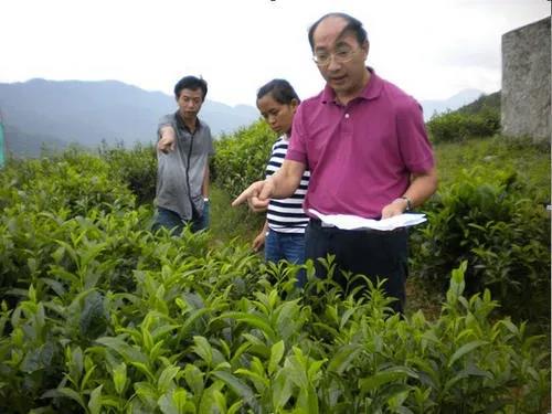 数据看中国 | 决战脱贫在今朝！全面建成小康社会 一个民族都不能少