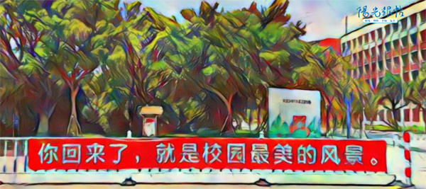 阳光跟帖丨开学季手绘视频：闪光数字背后的滚烫青春