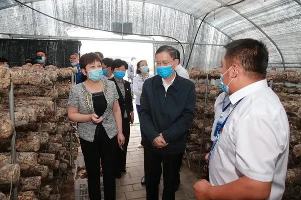 民建北京市委社会服务和联络处荣获北京市扶贫协作先进集体荣誉称号