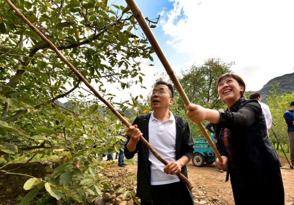 民建北京市委社会服务和联络处荣获北京市扶贫协作先进集体荣誉称号