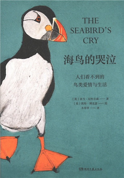 海鸟的哭泣