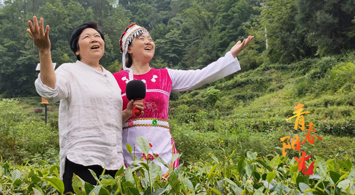 青春阳光接力传唱丨桑植白茶茶农《洪湖水浪打浪》原汁原味原生态