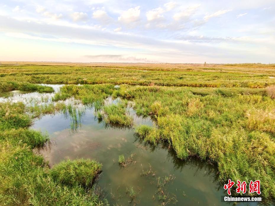 新疆玛纳斯湿地展现金秋韵味