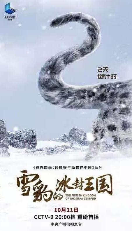 跟随央视镜头，走近《雪豹的冰封王国》