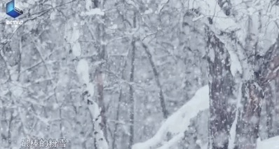 起源中国！人类最古老的滑雪方式，帅呆！