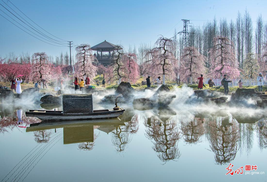 特色产业带动乡村旅游