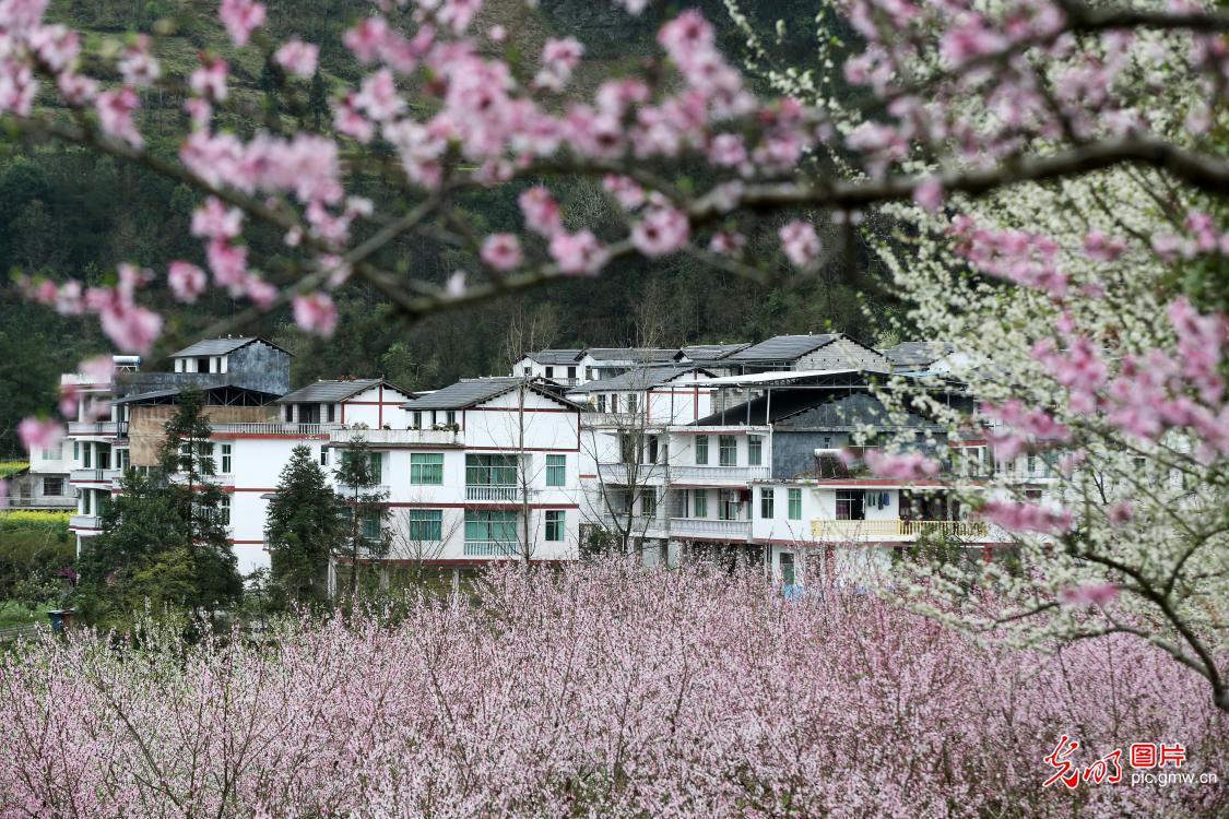 易地扶贫搬迁安置点春如画