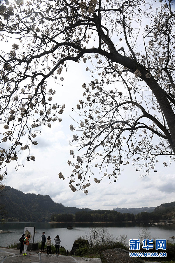 重庆黔江：春染小南海 湖光山色美