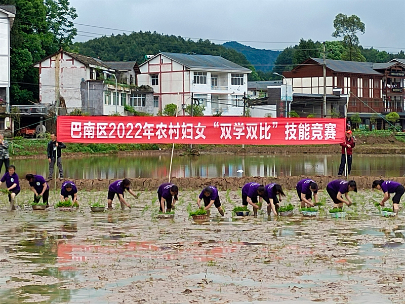 重庆巴南开展“双学双比”技能竞赛 倡导“兴粮节粮”