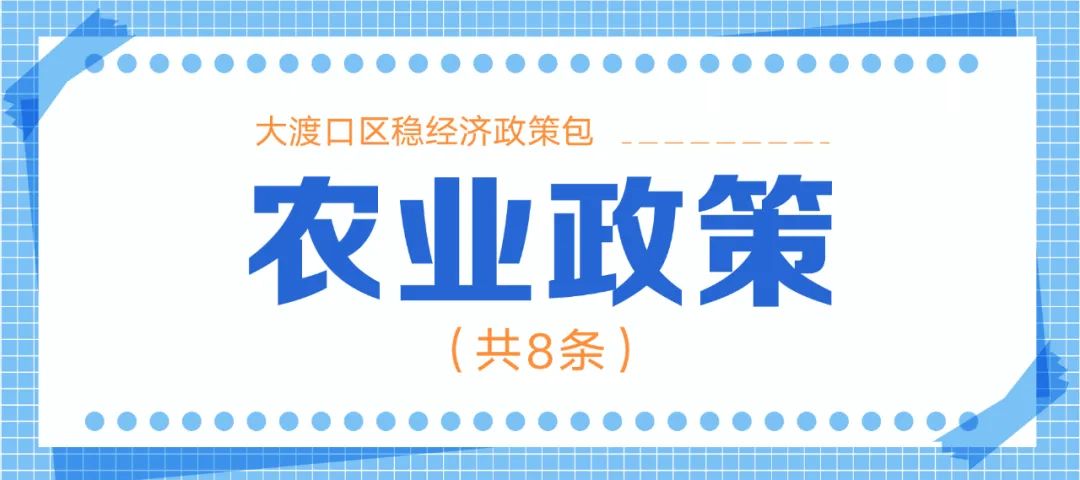 十大类128条！重庆市大渡口区稳经济政策包来了