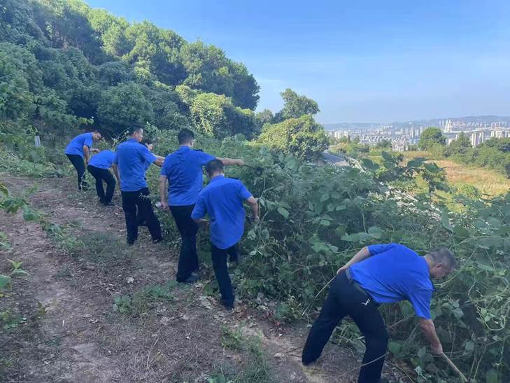 重庆市巴南城管执法支队组织党员突击队赴街道开展支援工作