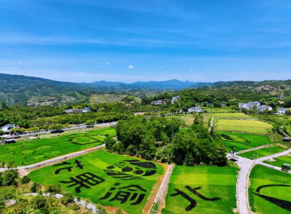 重庆渝北推出三条秋季精品旅游线