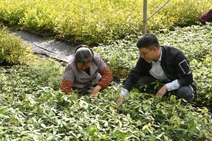 保护生态 藏富于林 庆元厚植绿色发展底色