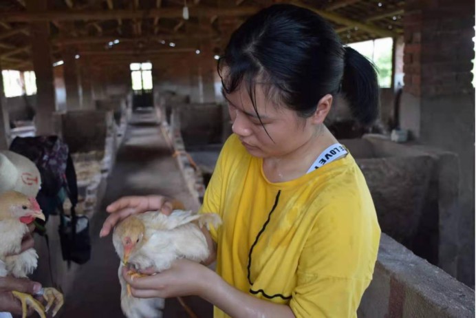 乡村振兴“鸡先锋”罗小庆：让创新点亮青春 用创业成就梦想