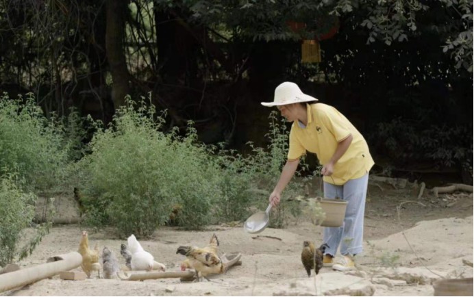 乡村振兴“鸡先锋”罗小庆：让创新点亮青春 用创业成就梦想