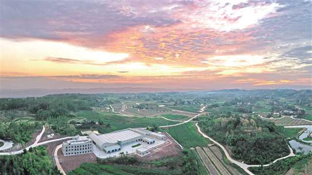 重庆永川：生物医药及大健康产业实现良好起步