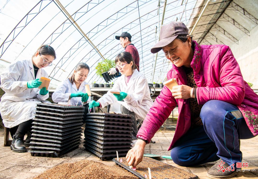 【春耕行动】呼和浩特：科技育种助春耕