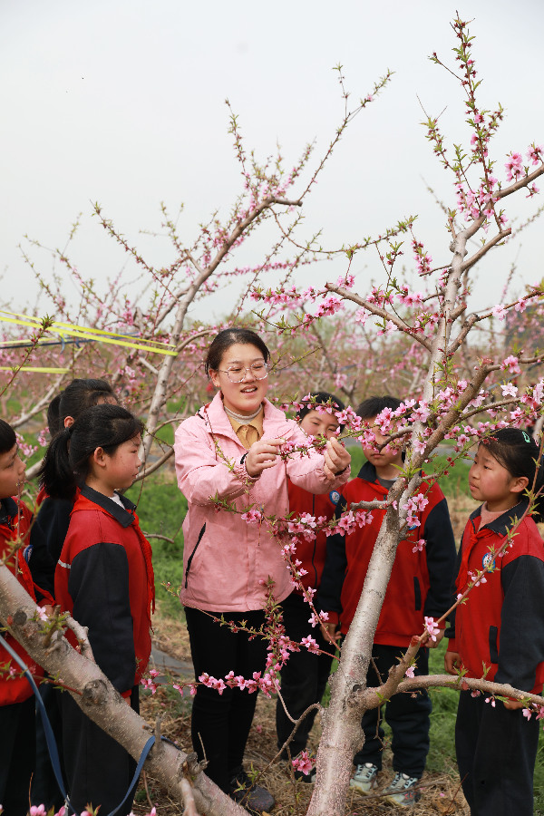 山东乐陵：快乐研学把课堂搬到田间