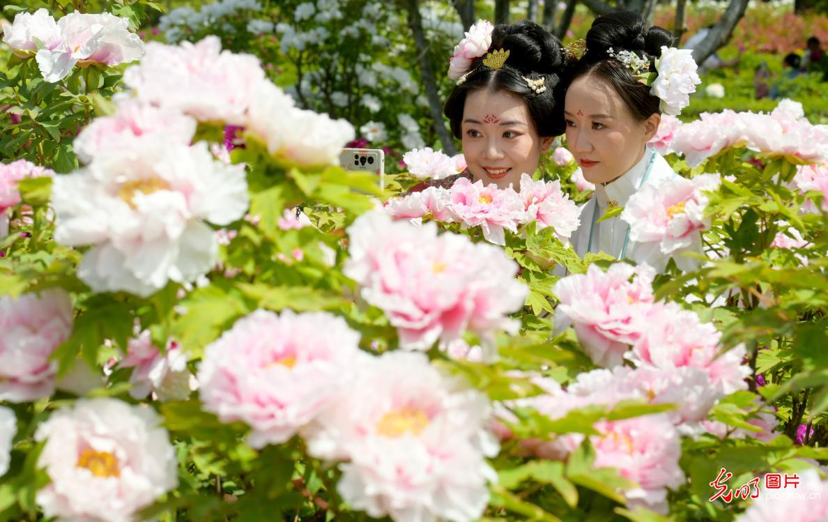 【消费提振】以花为媒催生美丽经济