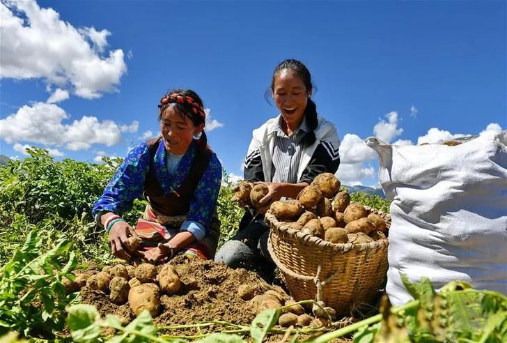 温铁军：为何说共同富裕是中国式现代化区别于西方的显著标志？