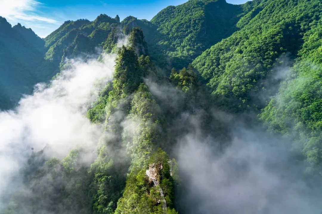 这里很重庆丨山城最北边的避暑胜地，又美又凉快