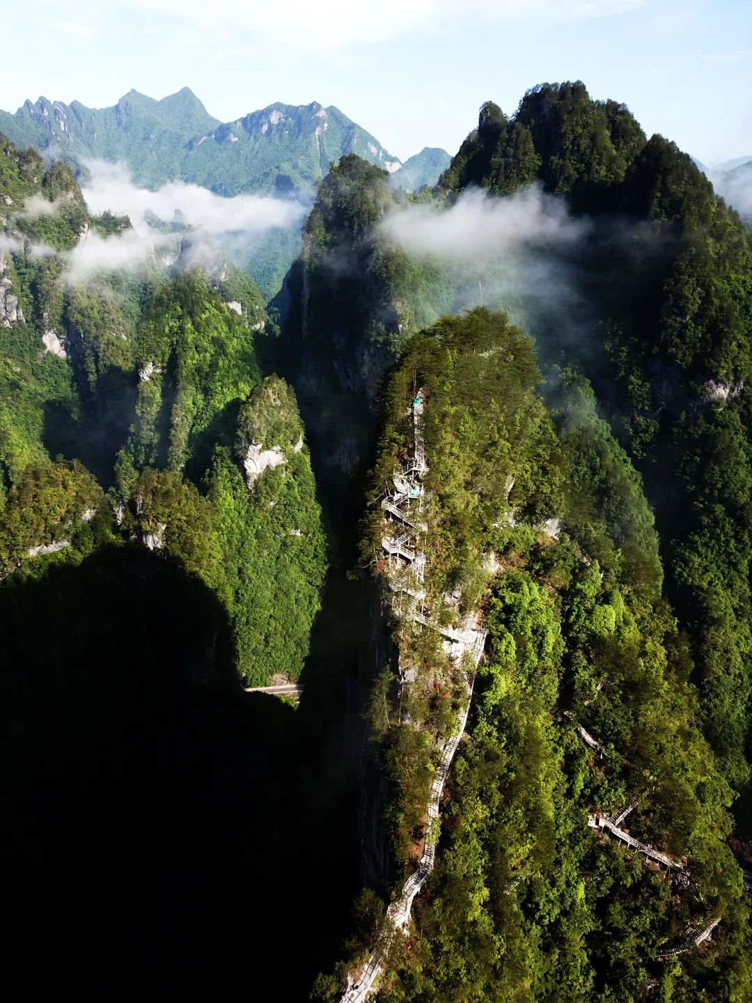 这里很重庆丨山城最北边的避暑胜地，又美又凉快