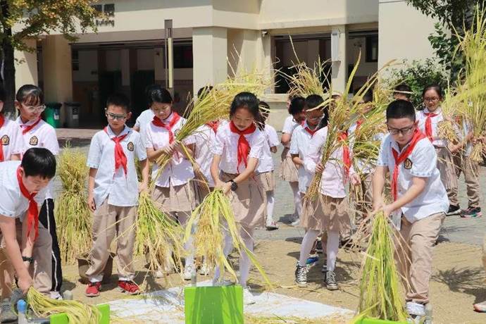 星澜汇小学：立足“细小实” 培育真善美