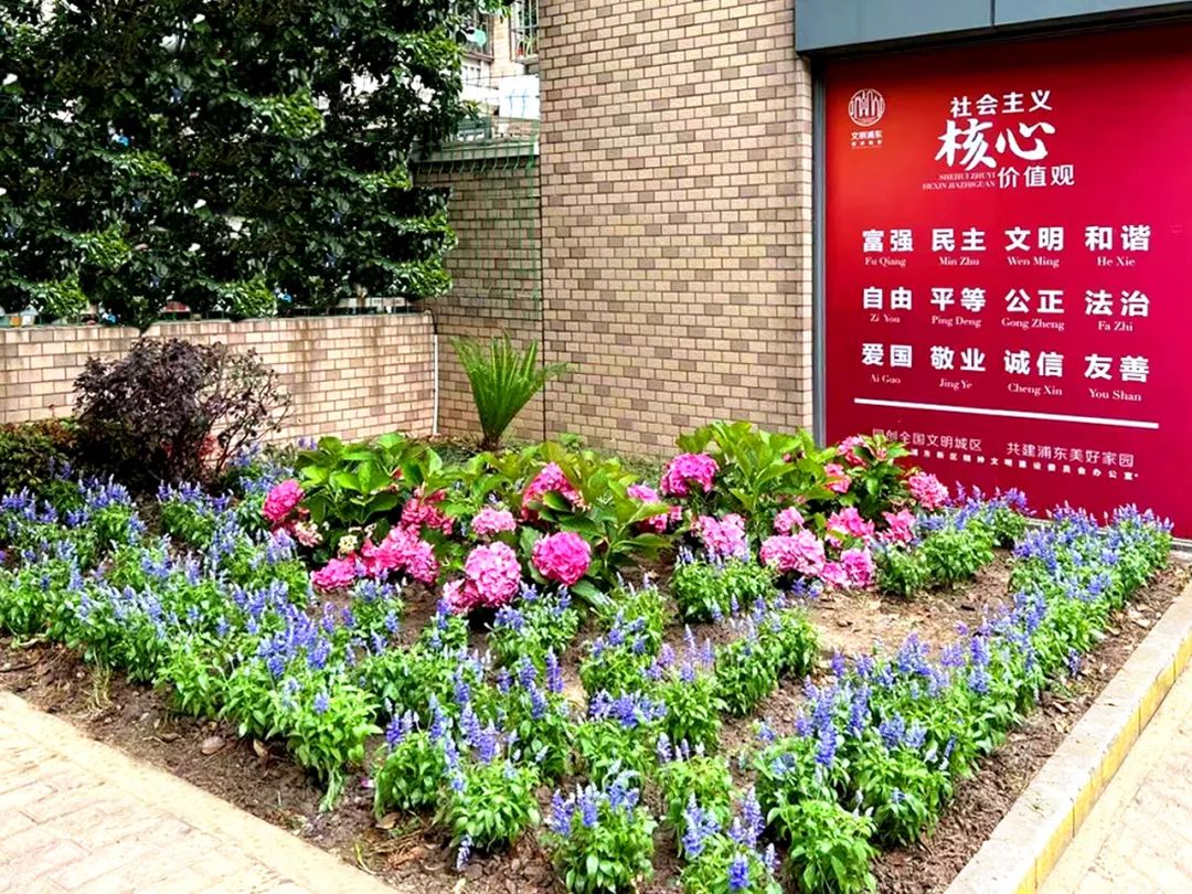 【文明创建】浦东这个镇，“绣”出老旧社区新风貌！