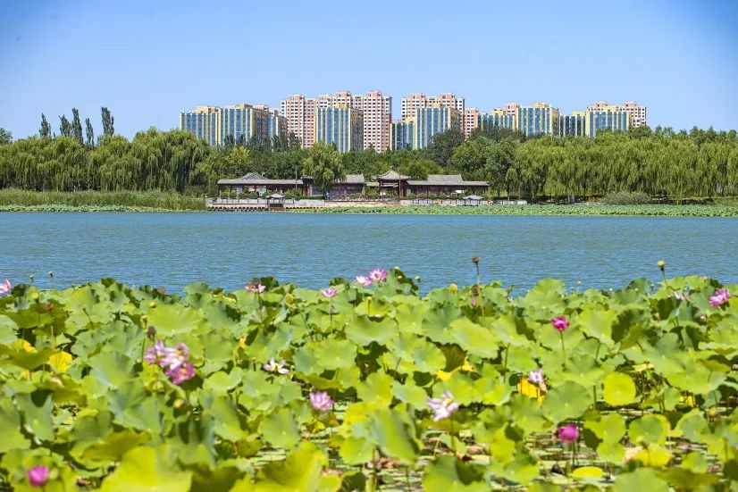 二绿公园 | 来南海子公园,趁秋风不燥,趁时光正好! 二绿公园 | 来南海子公园,趁秋风不燥,趁时光正好!