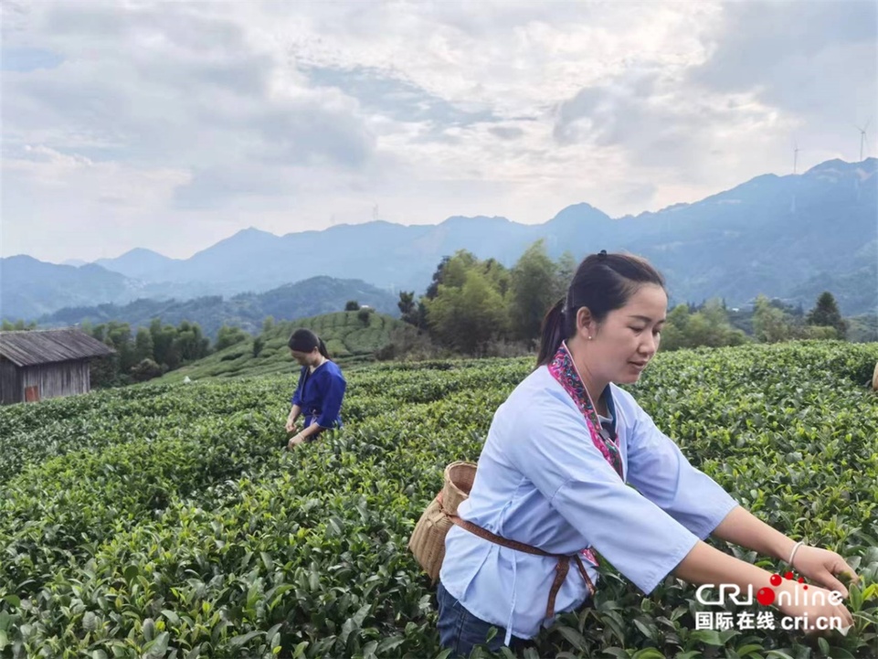 【多彩民族有多彩】广西：侗乡百般风情汇三江