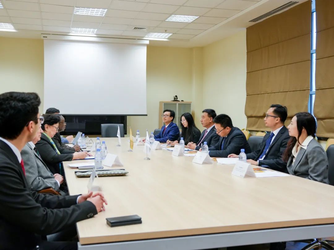 落实“一带一路”高峰论坛成果，人大在行动！