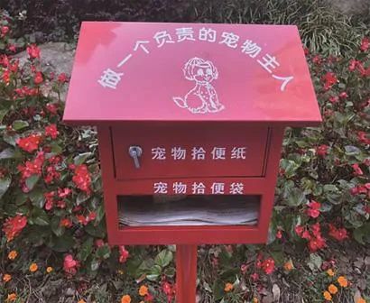 浦东 让市民感受精神文明磅礴力量