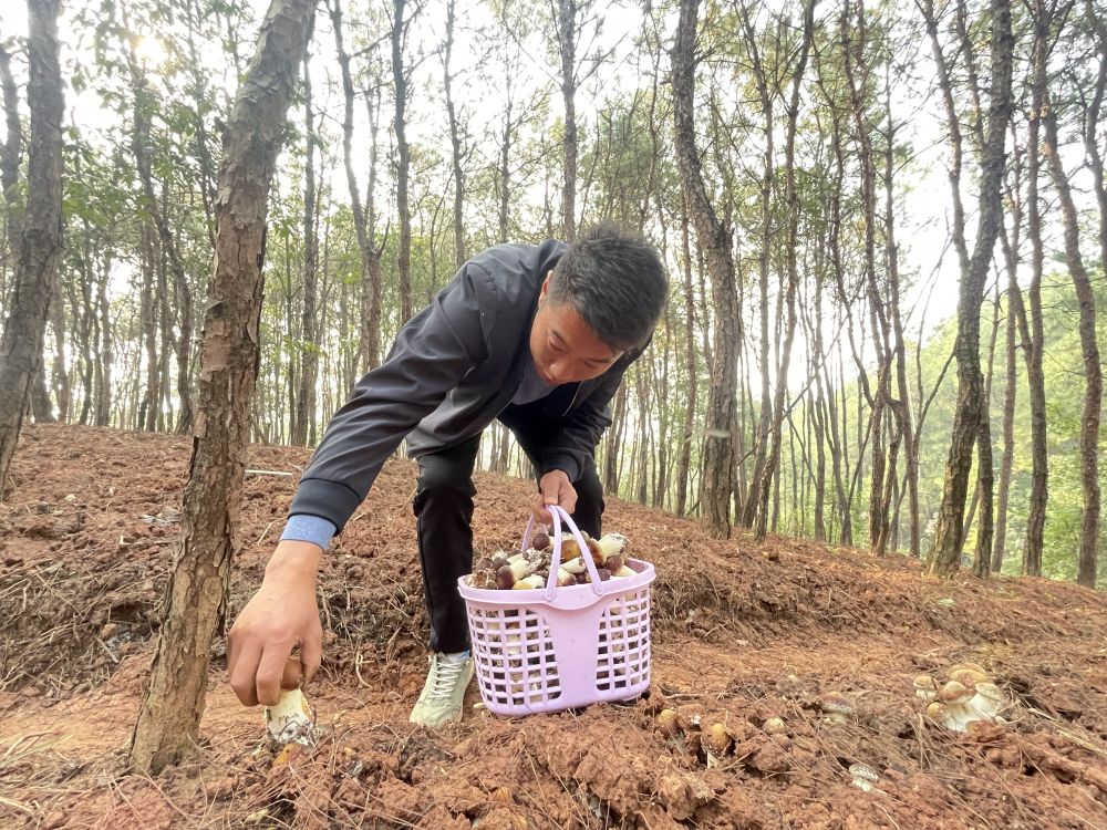 重庆大足：践行“四下基层”书写“民生答卷”