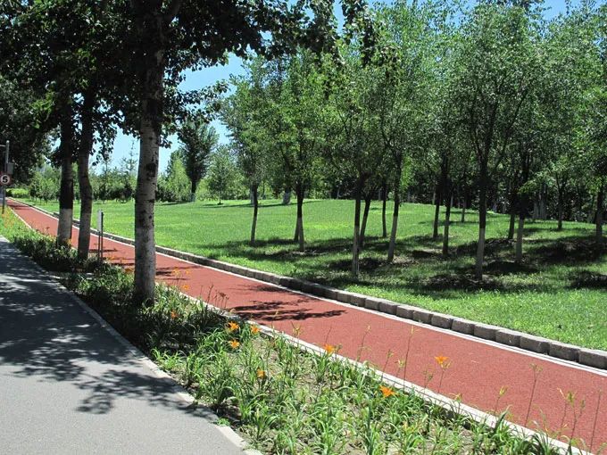 沿健康绿道，感绿隔之美