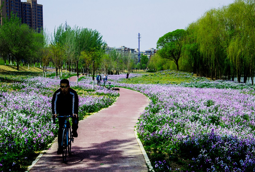 沿健康绿道，感绿隔之美