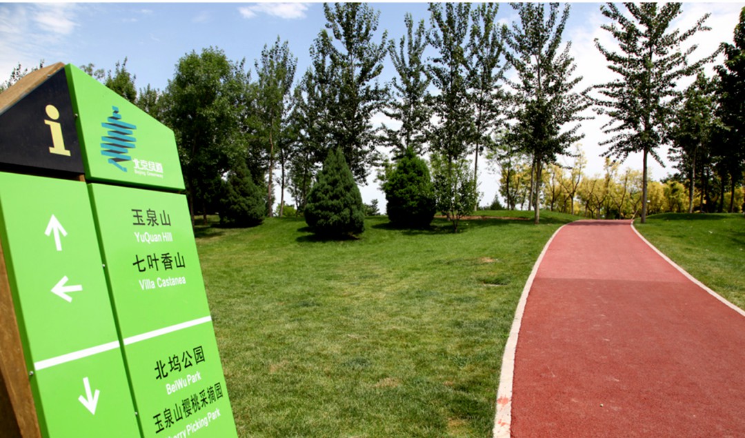 沿健康绿道，感绿隔之美