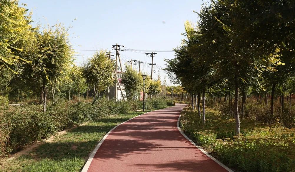 沿健康绿道，感绿隔之美