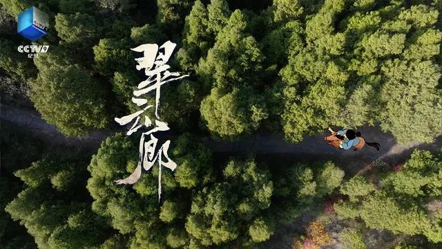 千山翠幕叠苍云，纪录片《翠云廊》尽显生态之美，文明底蕴