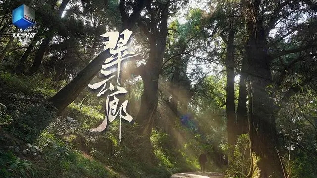 千山翠幕叠苍云，纪录片《翠云廊》尽显生态之美，文明底蕴